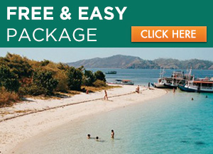 Free & Easy Package